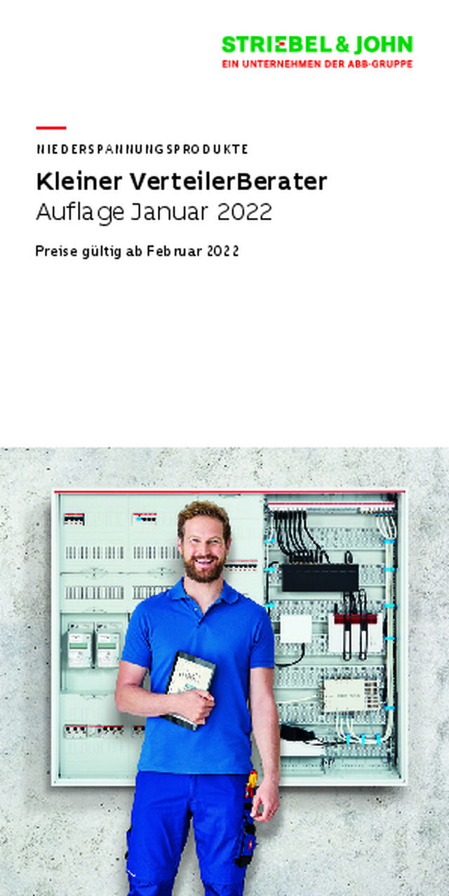 Kleiner VerteilerBerater