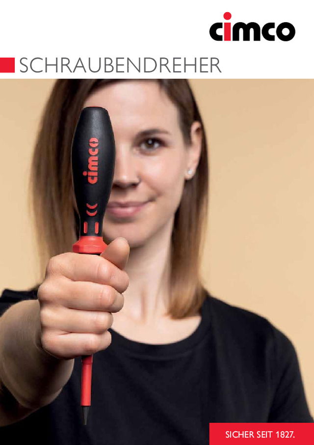 Schraubendreher