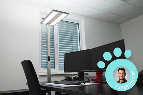 Wohlfühlatmosphäre in deinem Büro!