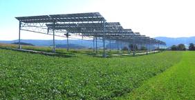 Agrophotovoltaik-Anlage am Bodensee eingeweiht