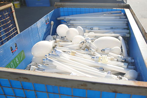 Altlampen-Entsorgung: Wichtige Infos für E-Handwerker