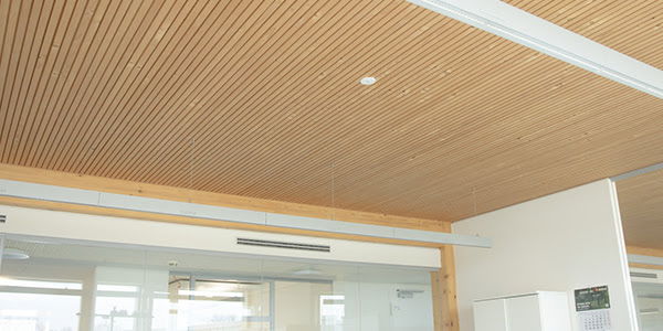 DALI-Lichtsteuerung:  Der zukunftssichere Standard