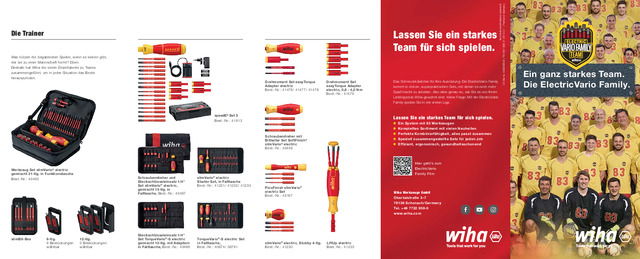 ElectricVario Family-Flyer 2020