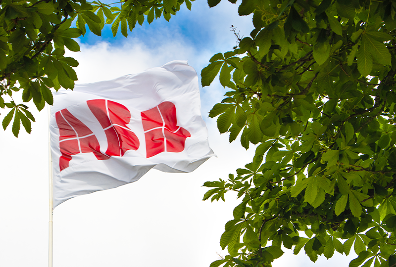 Driv hållbarhet och ansvarsfulla inköp – 4 viktiga frågor att ställa till din leverantör