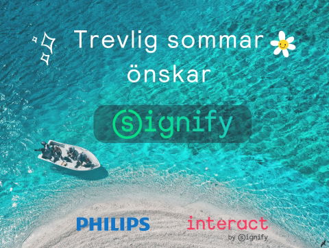 Sommaren i (Interact) City – kommer du ihåg mig?