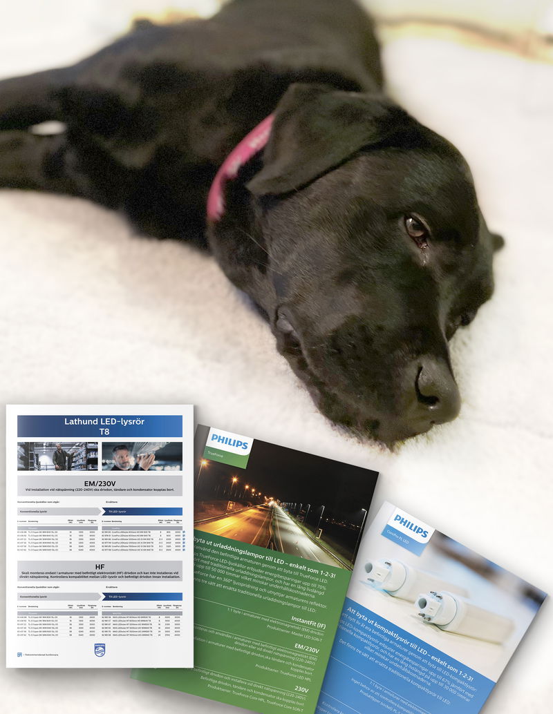 Lata hundar och feta konverteringar