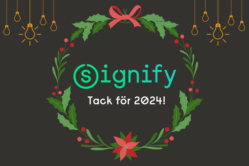 2024 i backspegeln – Vad hände egentligen?