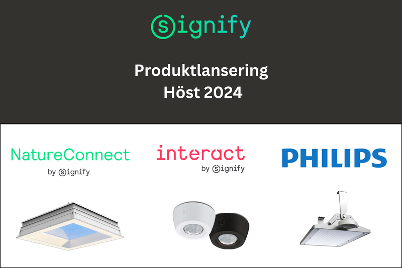 Älskar du dåligt ljus? Då är det här inget för dig.