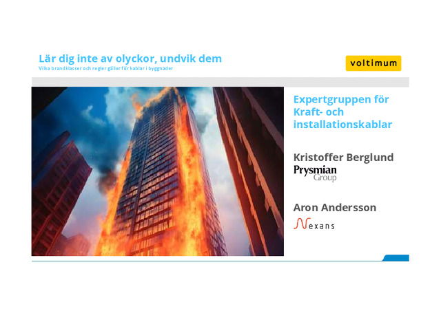 Elseminarium 2023 november: Lär dig inte av olyckor, undvik dem