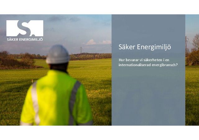Säker Energimiljö: Säkerhet i internationell elbransch